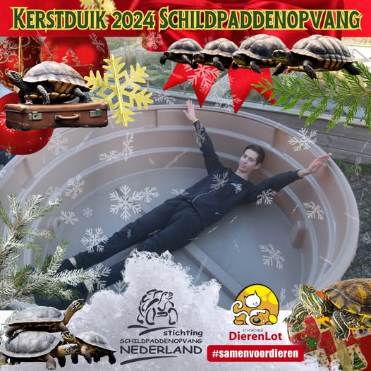 Kerstduik 2024: Crew Schildpaddenopvang Harkema