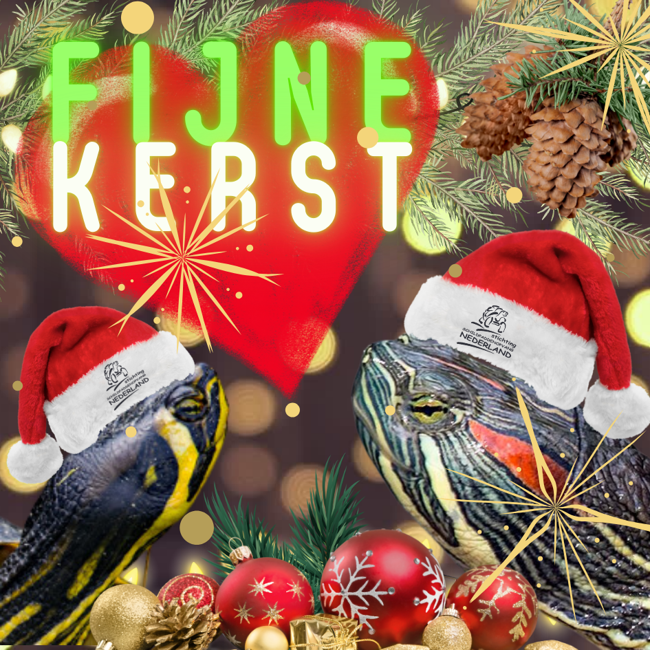 Fijne kerstdagen iedereen!