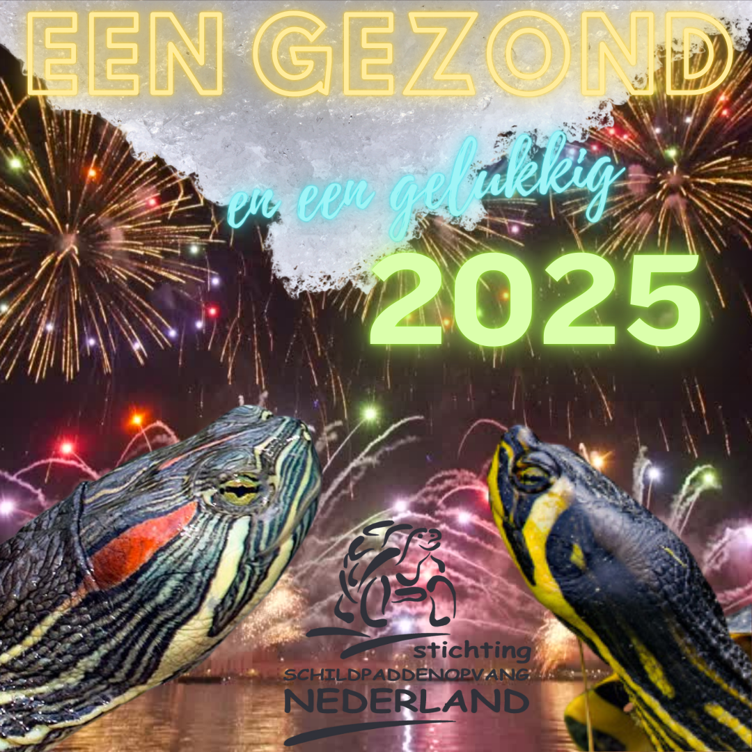 Een Gelukkig en Gezond 2025